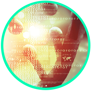 DIJ-RYD-CC-OfferTable-6-New_Potentials